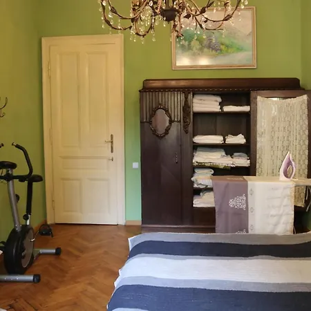 Retro Big With Two Balconies And Lift Apartment Karlovy Vary